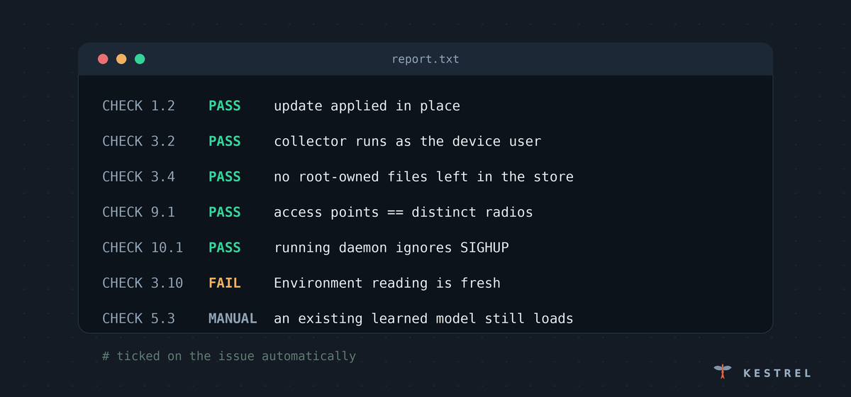 blog-report.png